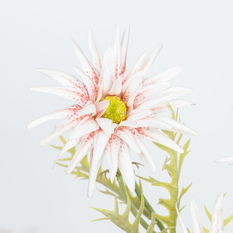 29" GERBERA SPRAY