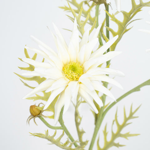 29" GERBERA SPRAY