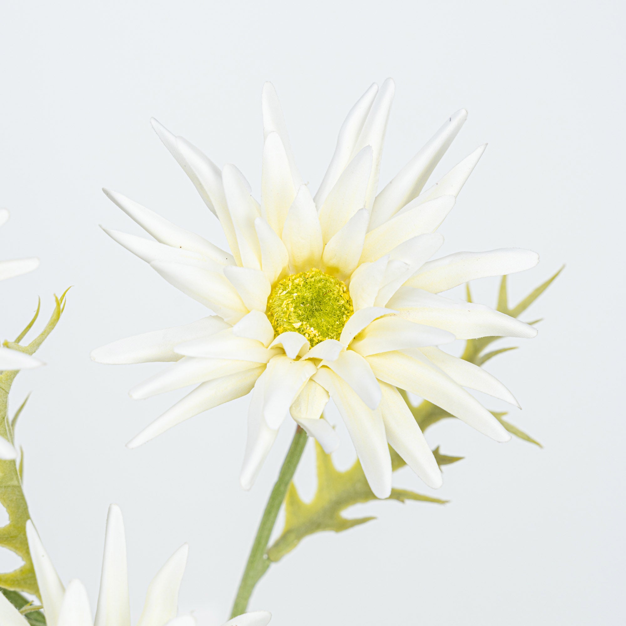 29" GERBERA SPRAY