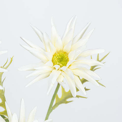 29" GERBERA SPRAY
