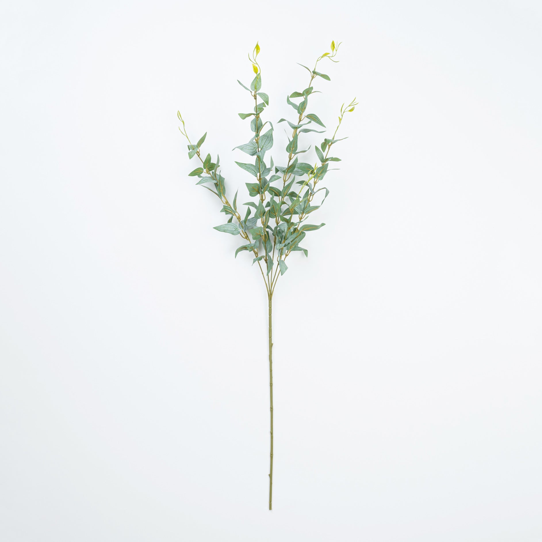 36" JUJUBE LEAF SPRAY