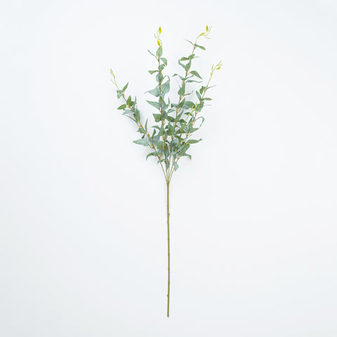 36" JUJUBE LEAF SPRAY