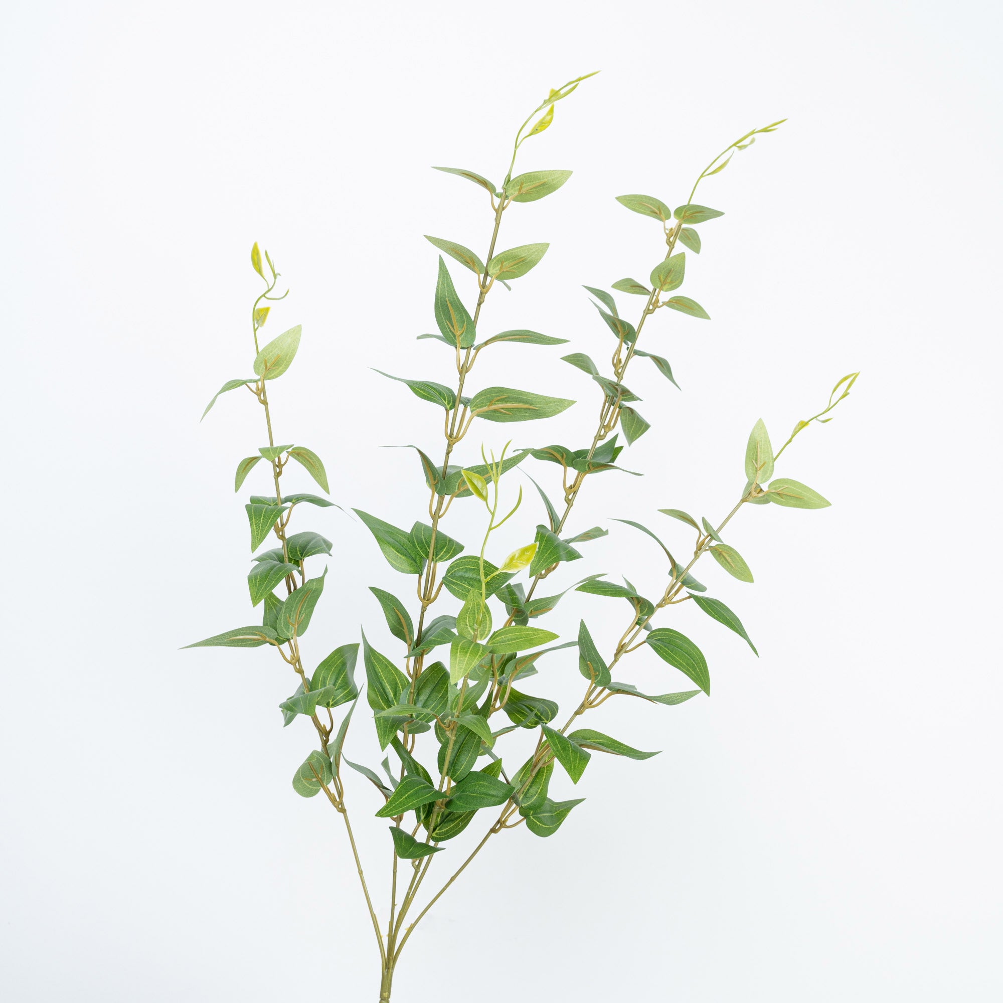 36" JUJUBE LEAF SPRAY