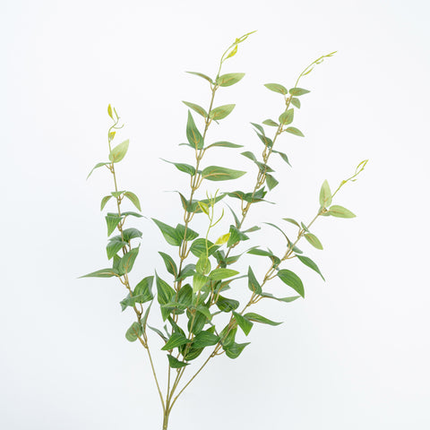 36" JUJUBE LEAF SPRAY