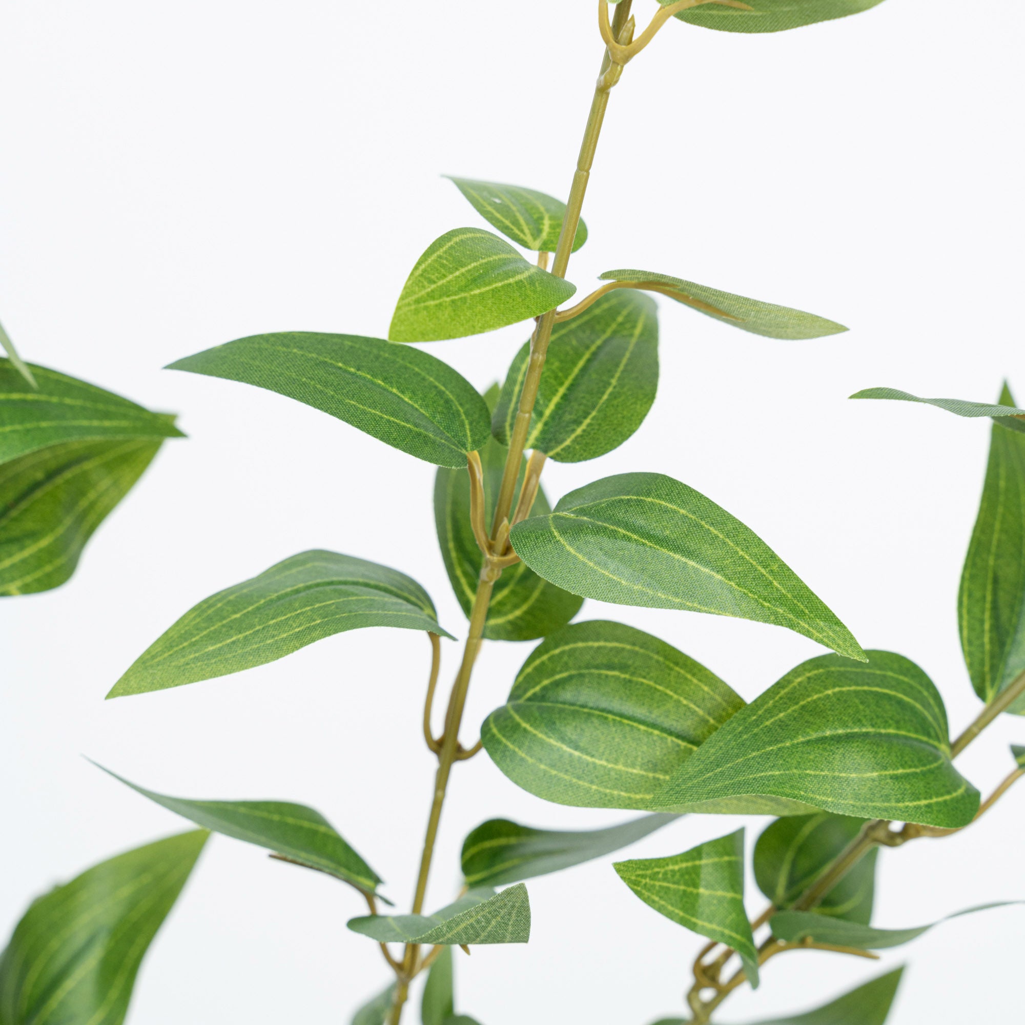 36" JUJUBE LEAF SPRAY