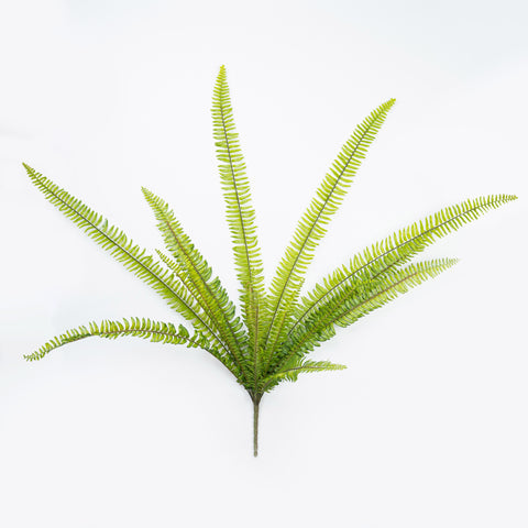 36" SOFT TOUCH BOSTON FERN BUSH
