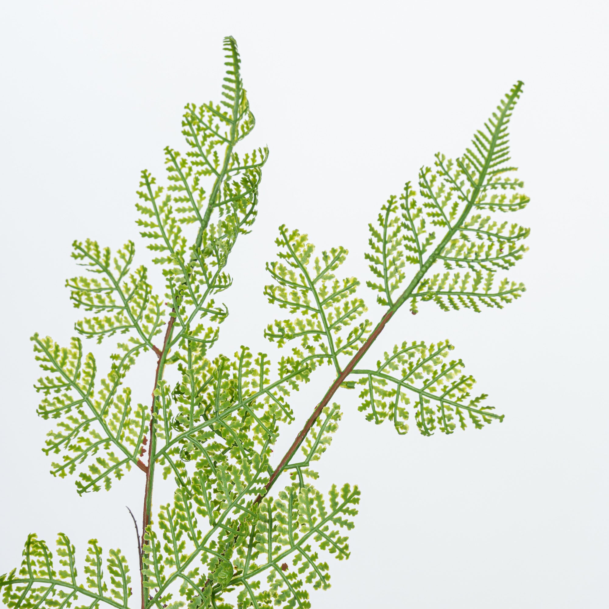 18" SOFT TOUCH FERN BUSH