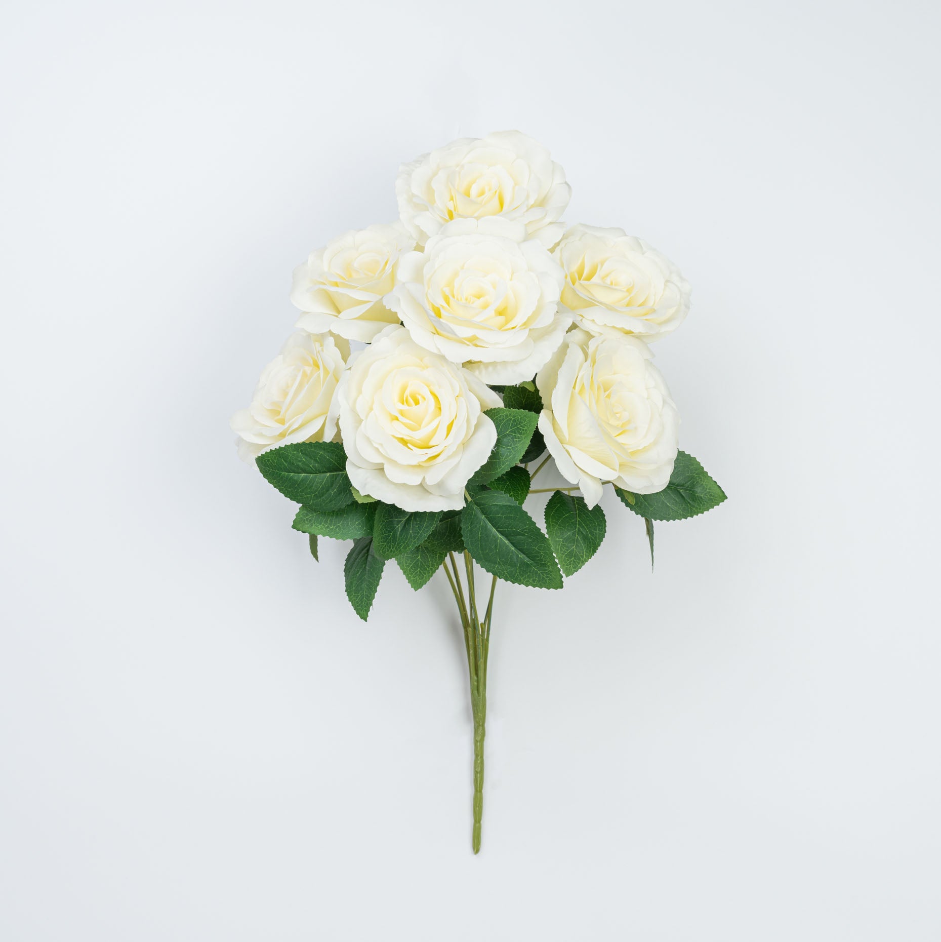21" ROSE BUSH X 7