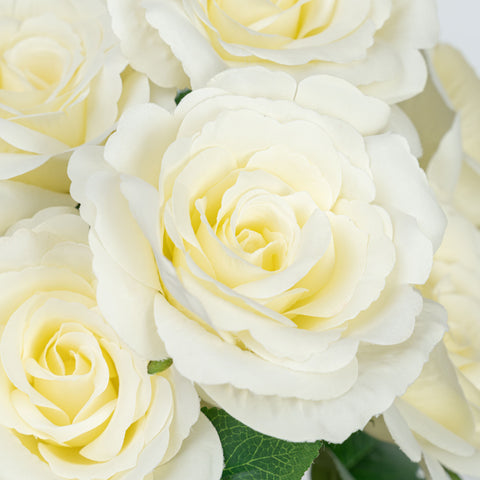 21" ROSE BUSH X 7
