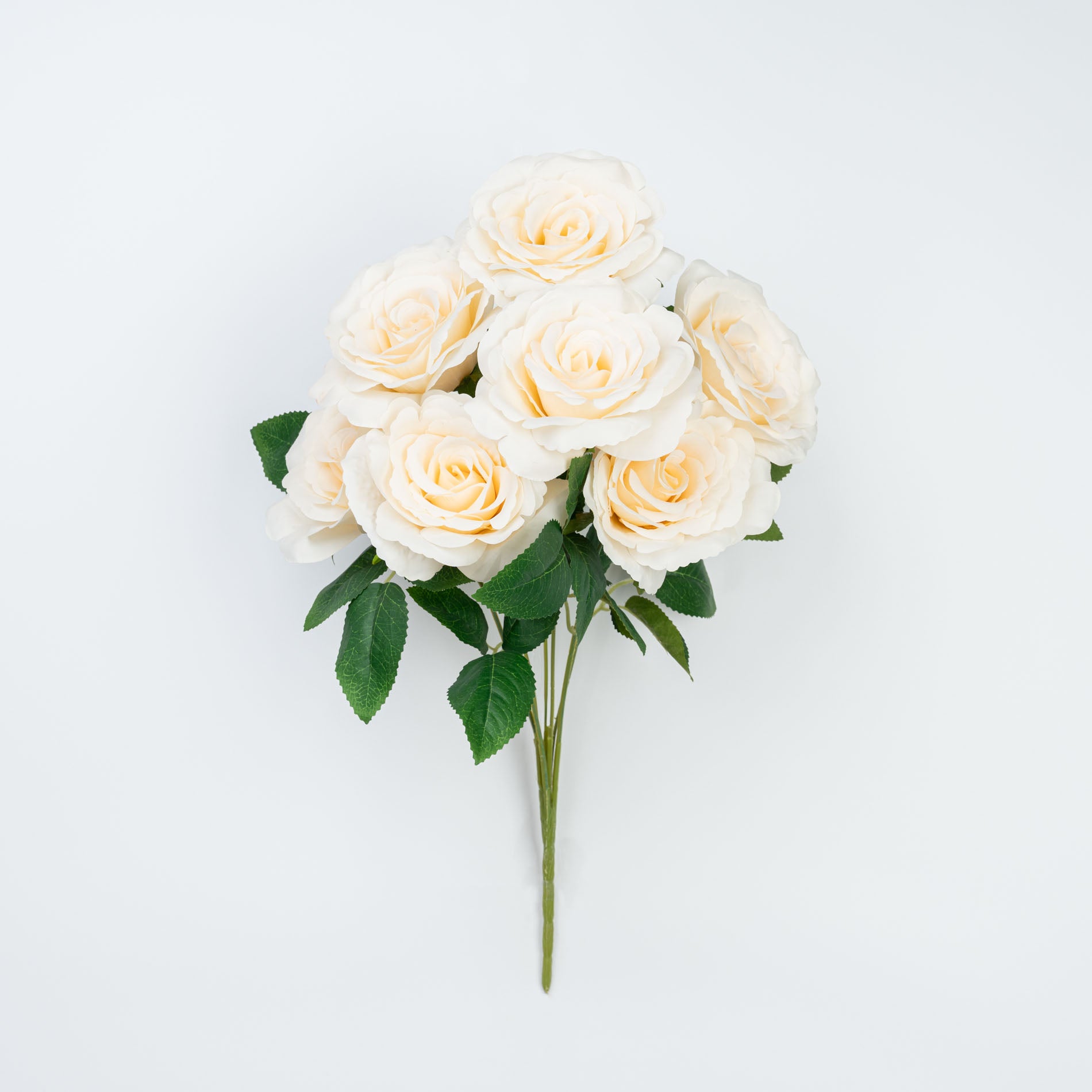 21" ROSE BUSH X 7