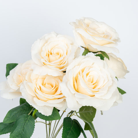 21" ROSE BUSH X 7