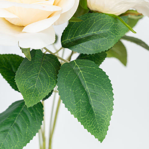 21" ROSE BUSH X 7