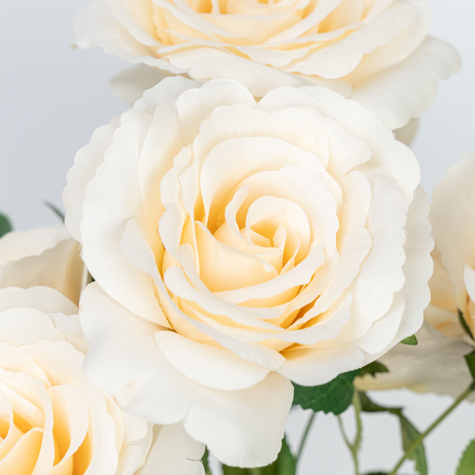 21" ROSE BUSH X 7