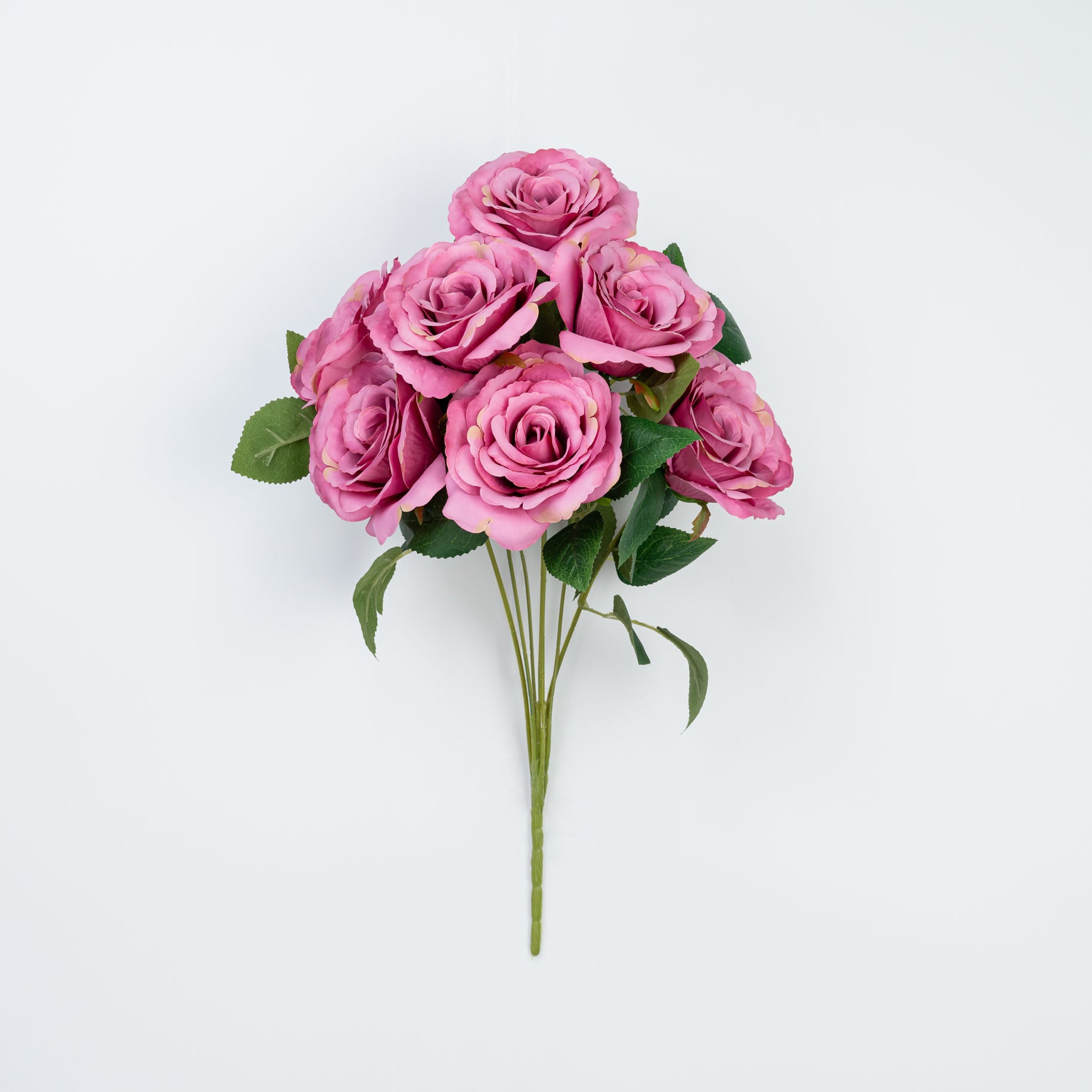 21" ROSE BUSH X 7