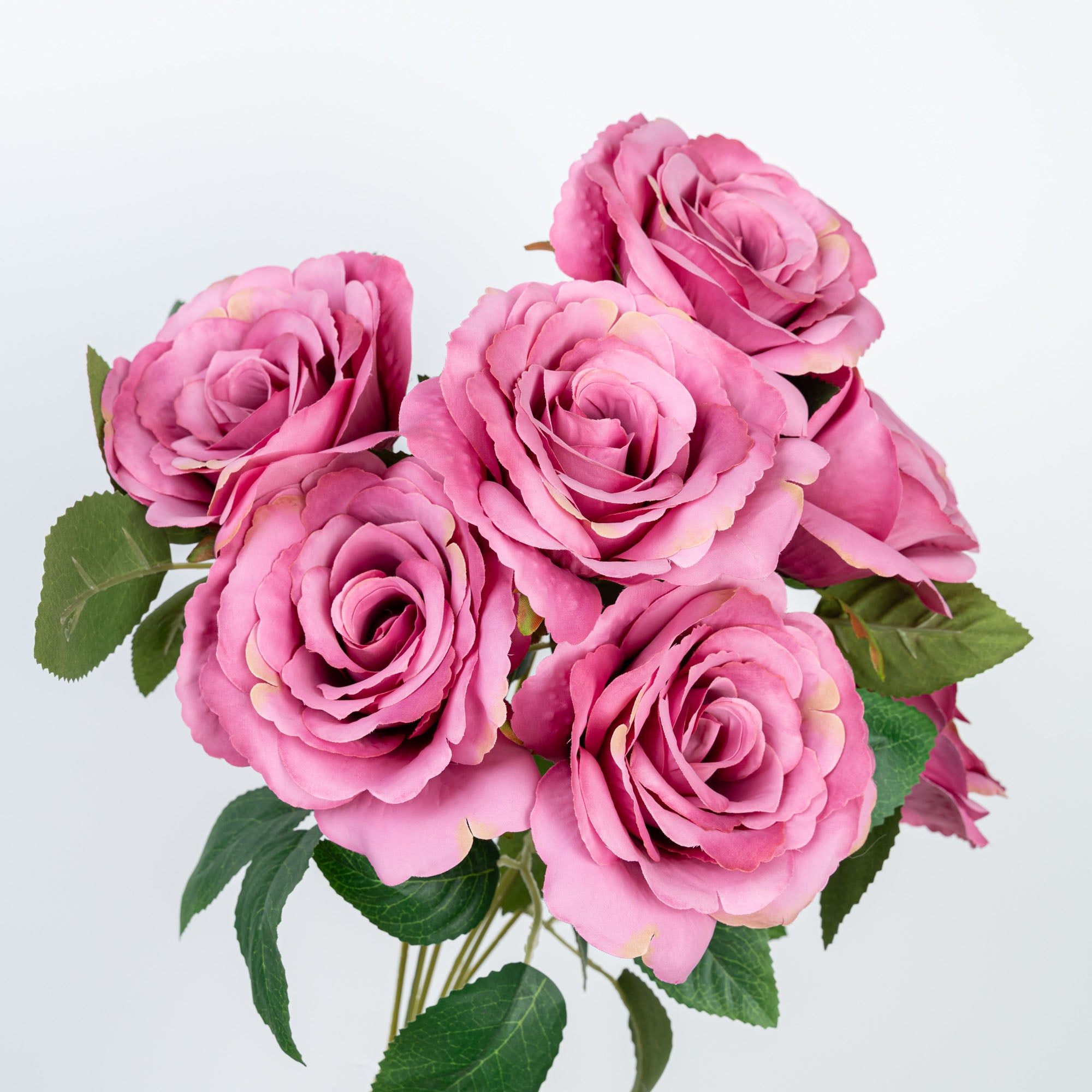 21" ROSE BUSH X 7