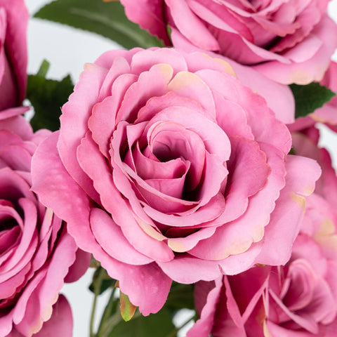21" ROSE BUSH X 7