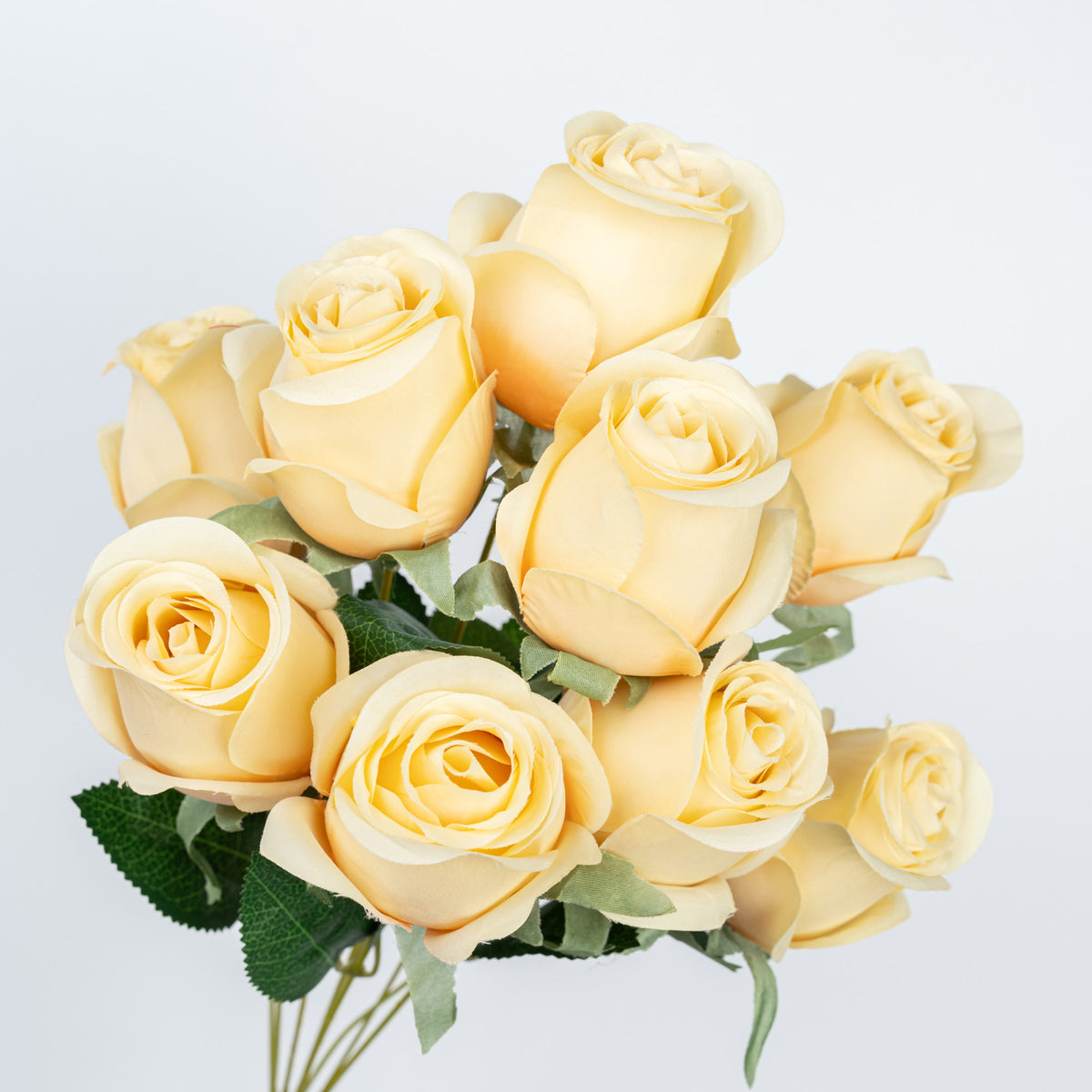 19" ROSE BUD BUSH X 9