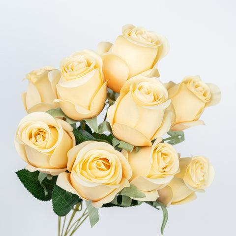 19" ROSE BUD BUSH X 9