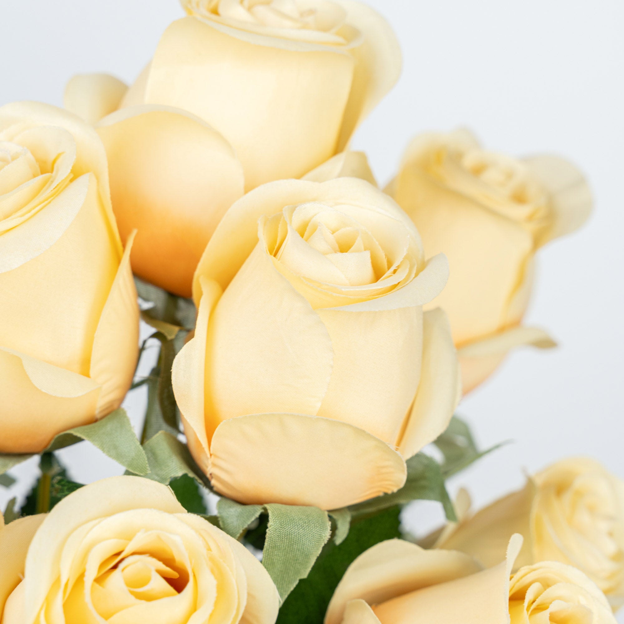 19" ROSE BUD BUSH X 9