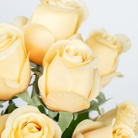 19" ROSE BUD BUSH X 9