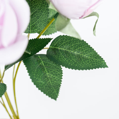 19" ROSE BUD BUSH X 9