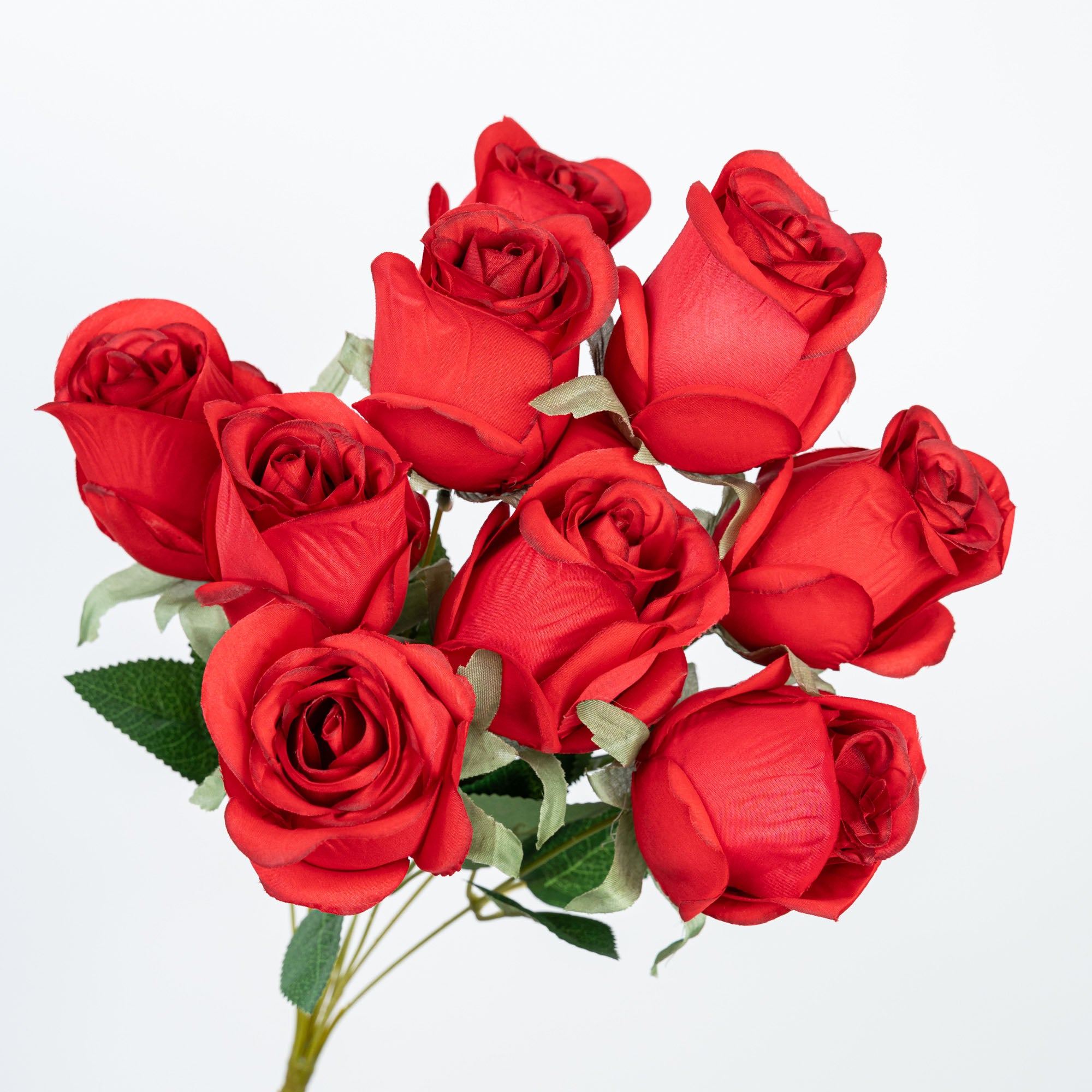 19" ROSE BUD BUSH X 9