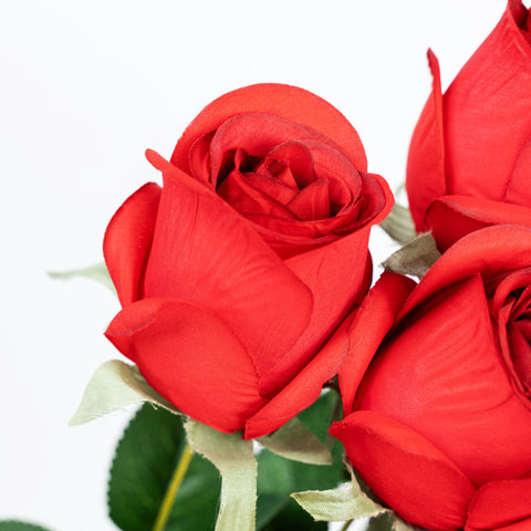 19" ROSE BUD BUSH X 9