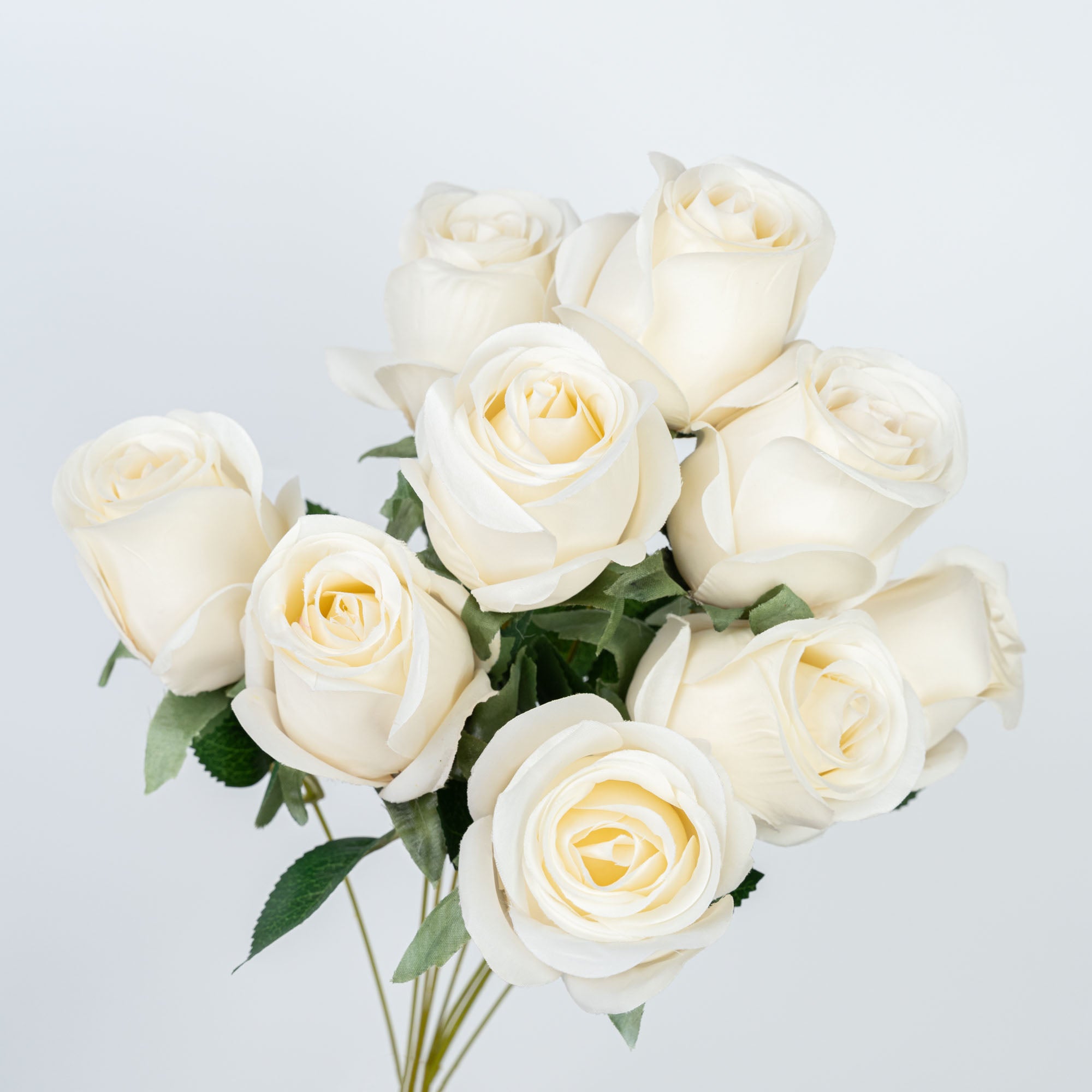 19" ROSE BUD BUSH X 9