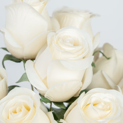 19" ROSE BUD BUSH X 9