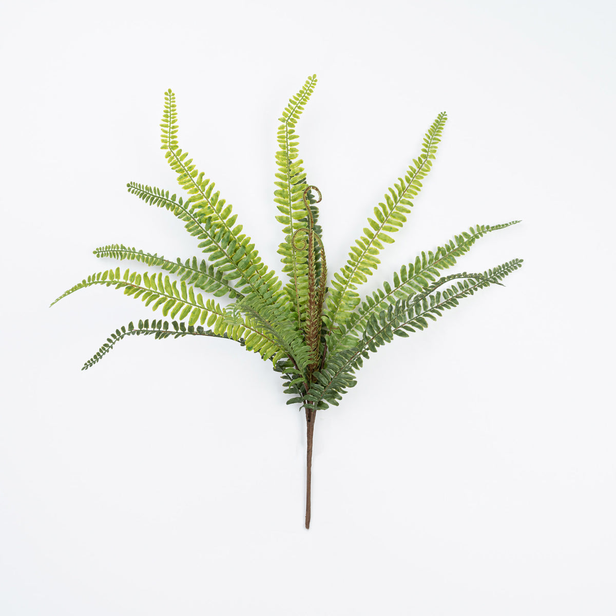 21" SOFT TOUCH FERN BUSH