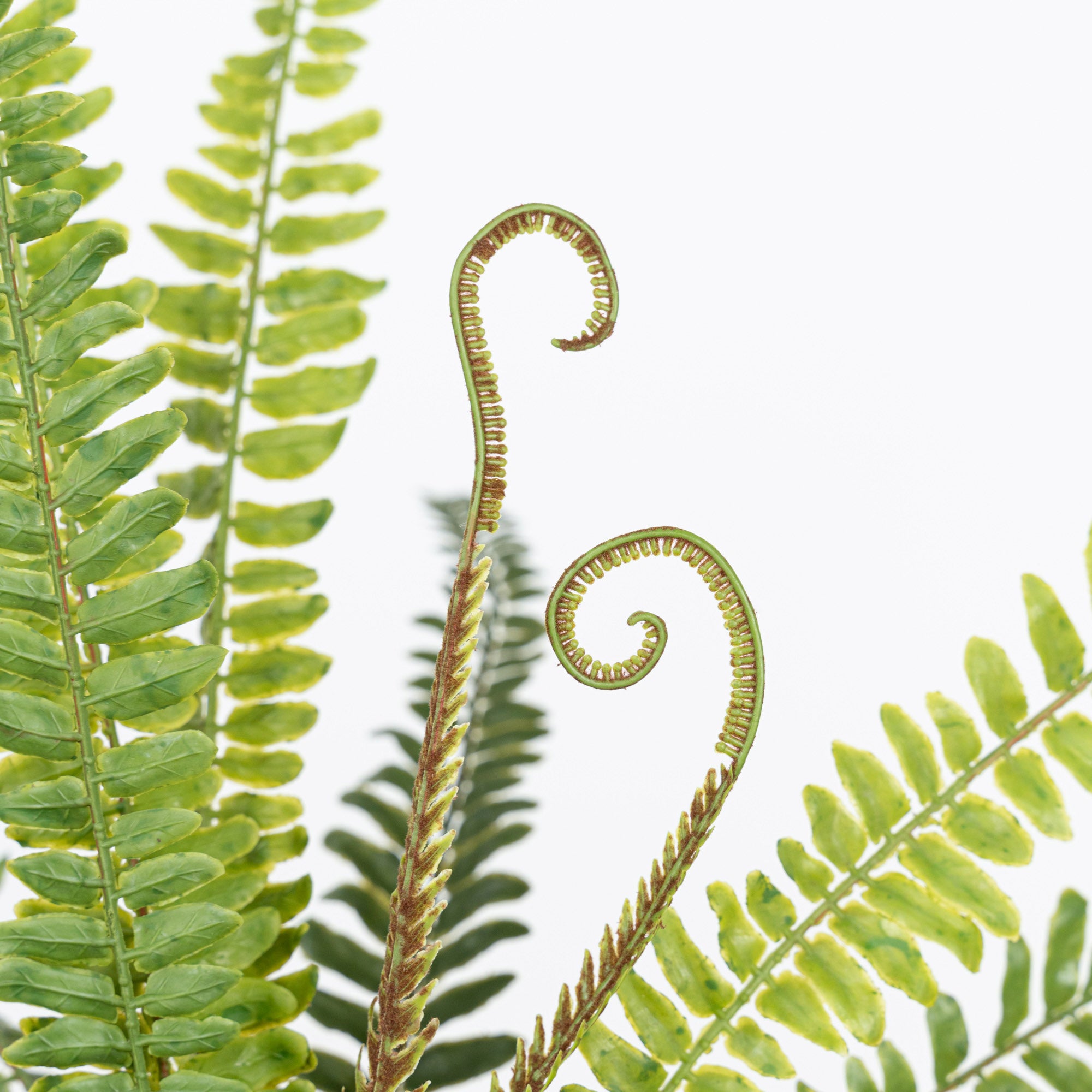 21" SOFT TOUCH FERN BUSH