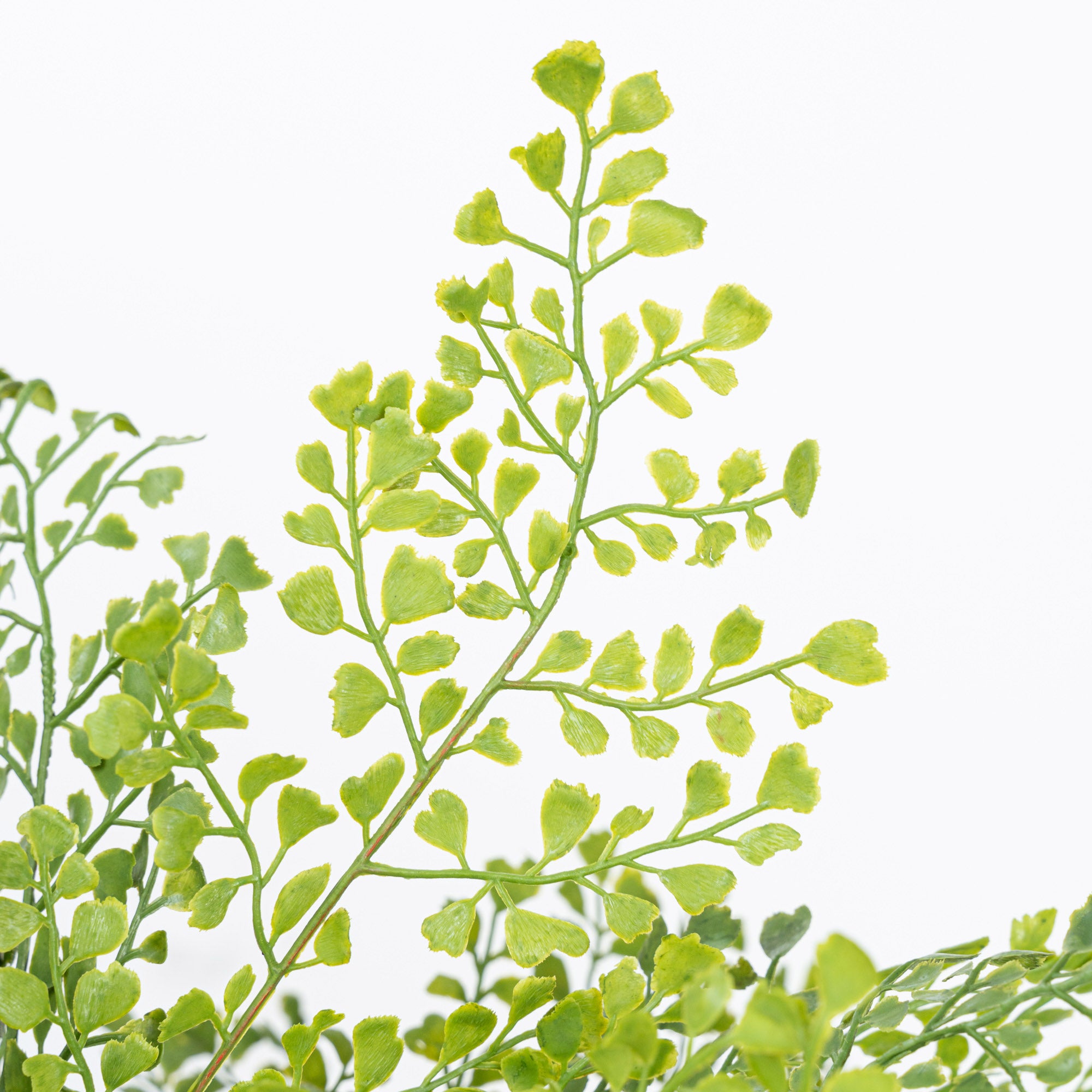 17" SOFT TOUCH FERN BUSH