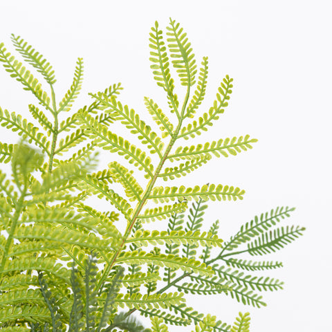 19" SOFT TOUCH FERN BUSH
