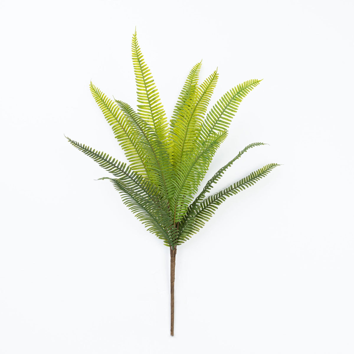 19" SOFT TOUCH FERN BUSH