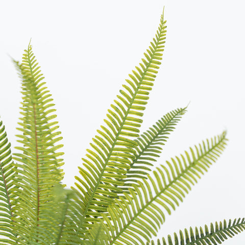 19" SOFT TOUCH FERN BUSH