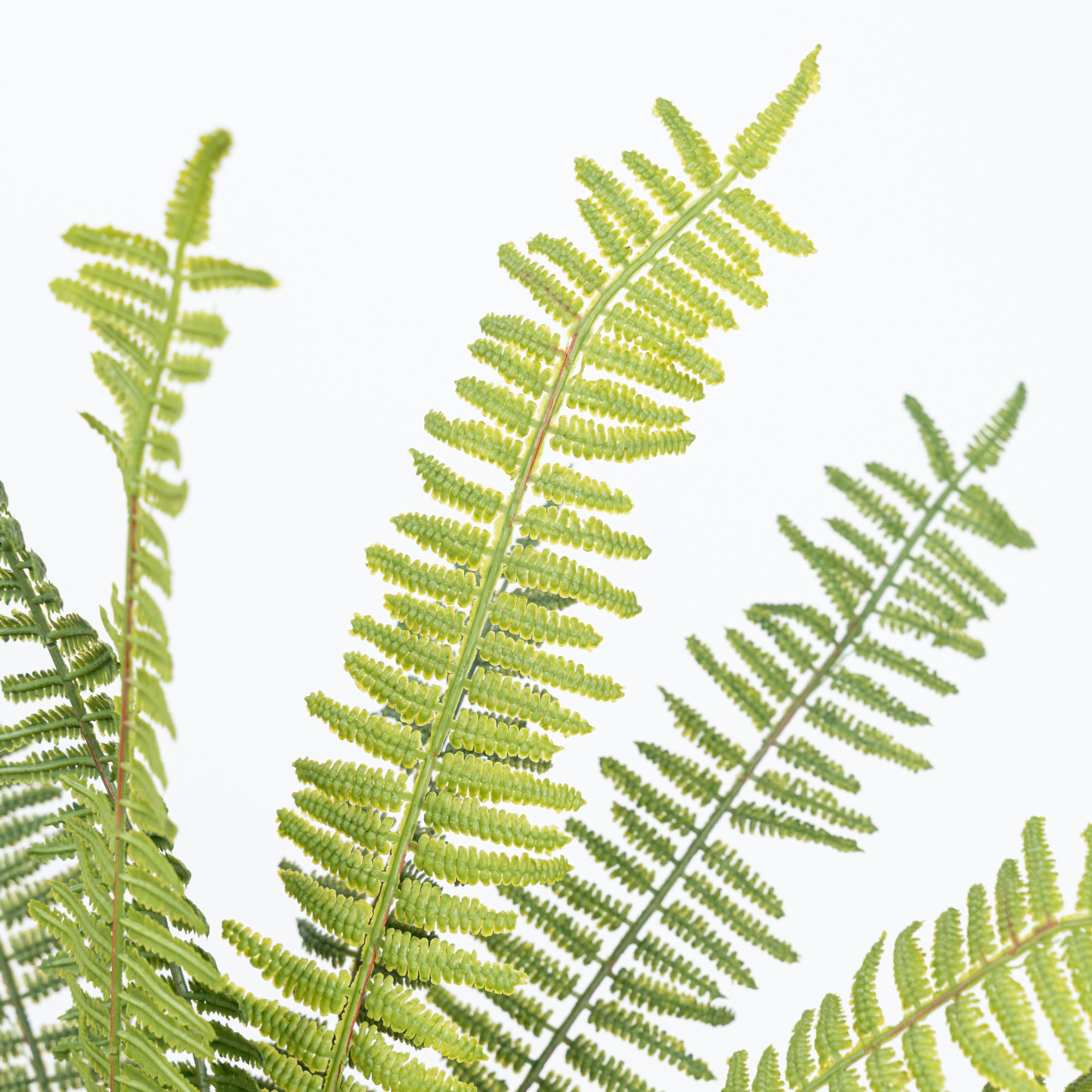 18" SOFT TOUCH FERN BUSH