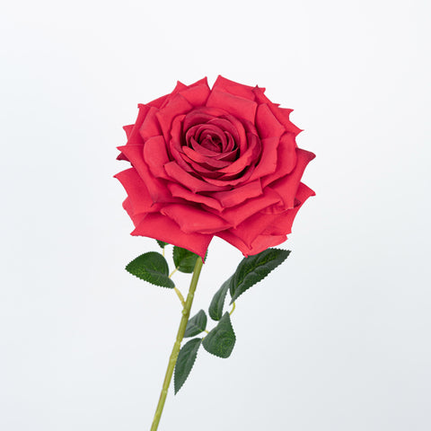 30" ROSE STEM HEAD 15CM