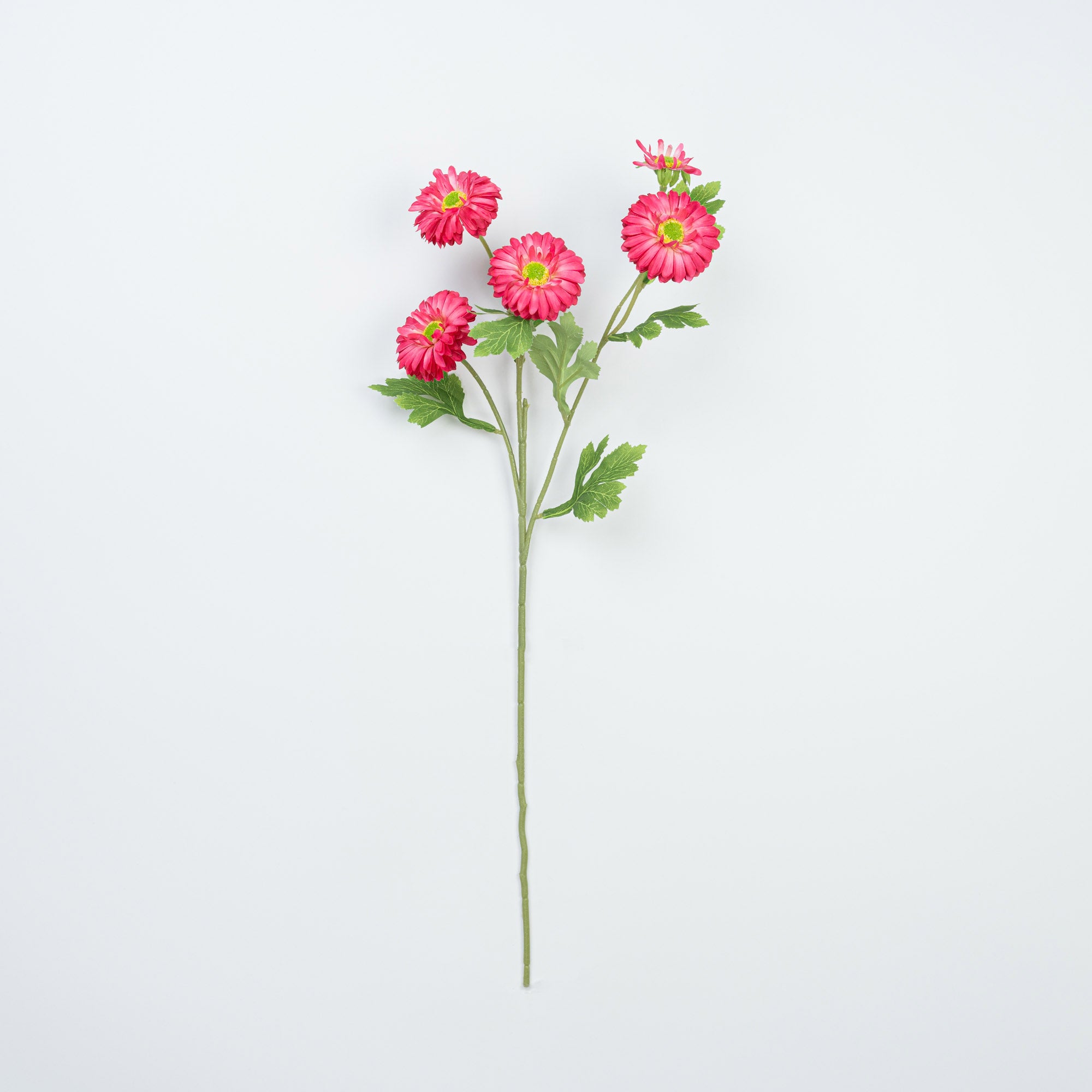 26" DAISY SPRAY