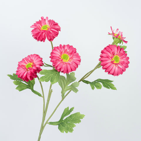 26" DAISY SPRAY