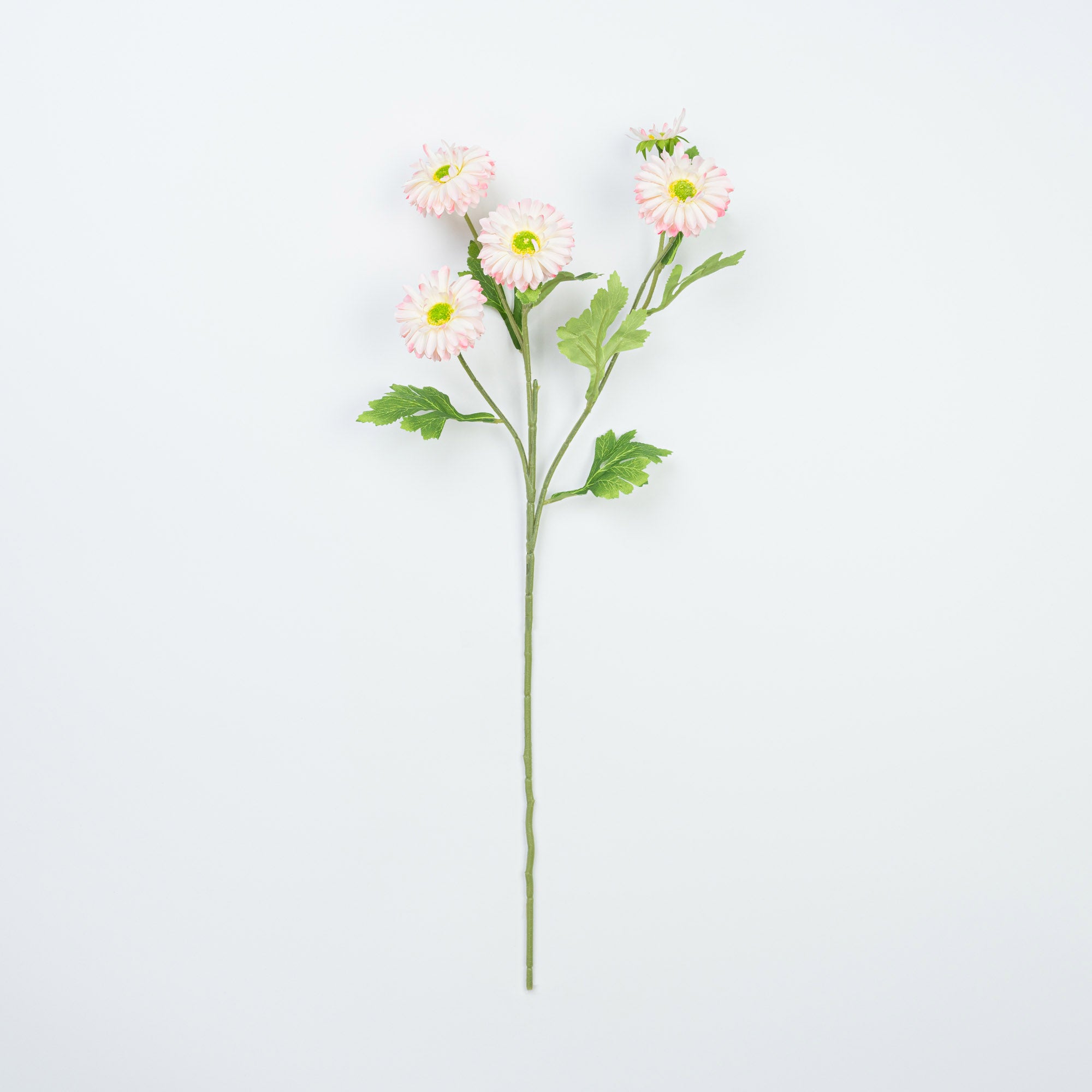 26" DAISY SPRAY