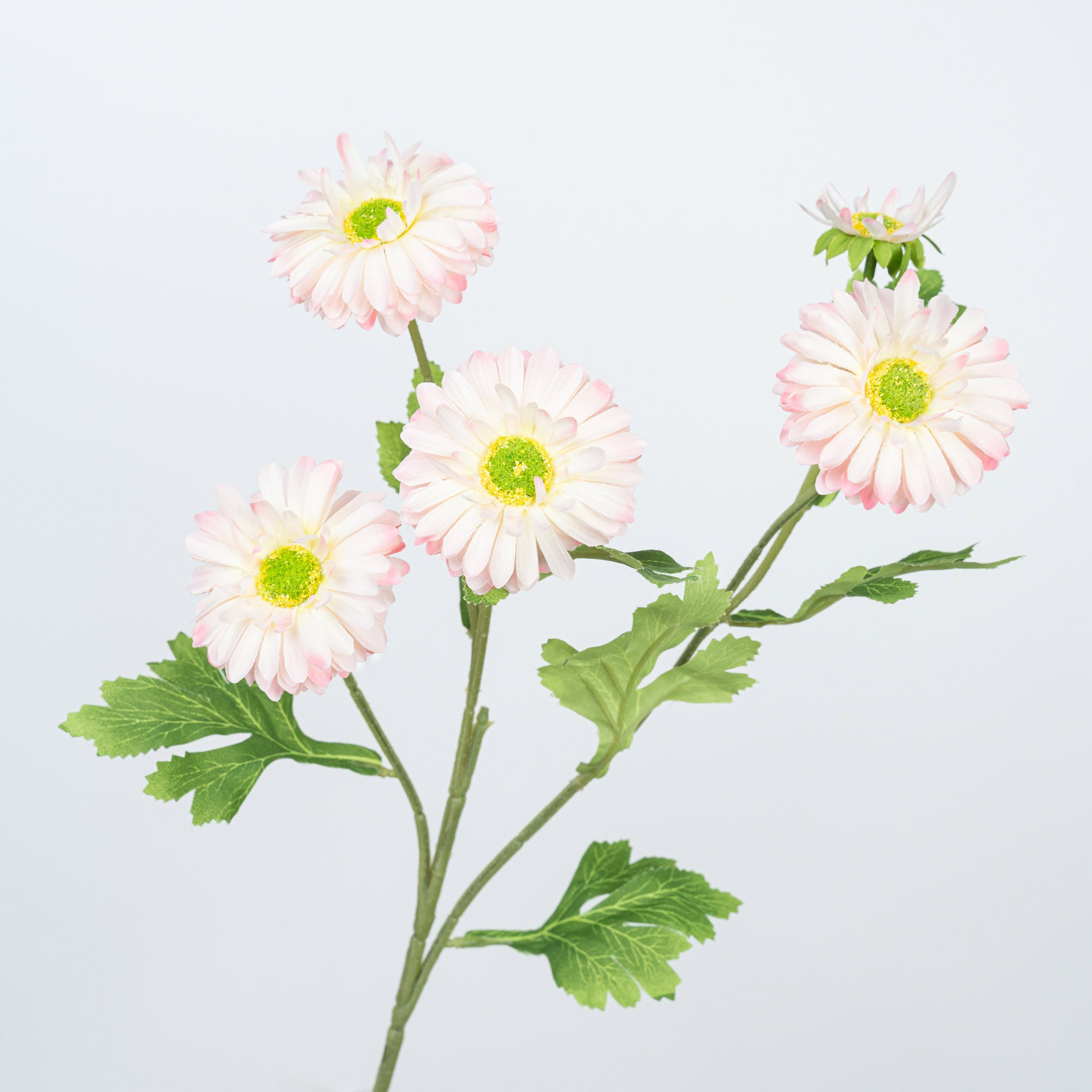 26" DAISY SPRAY