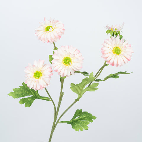 26" DAISY SPRAY