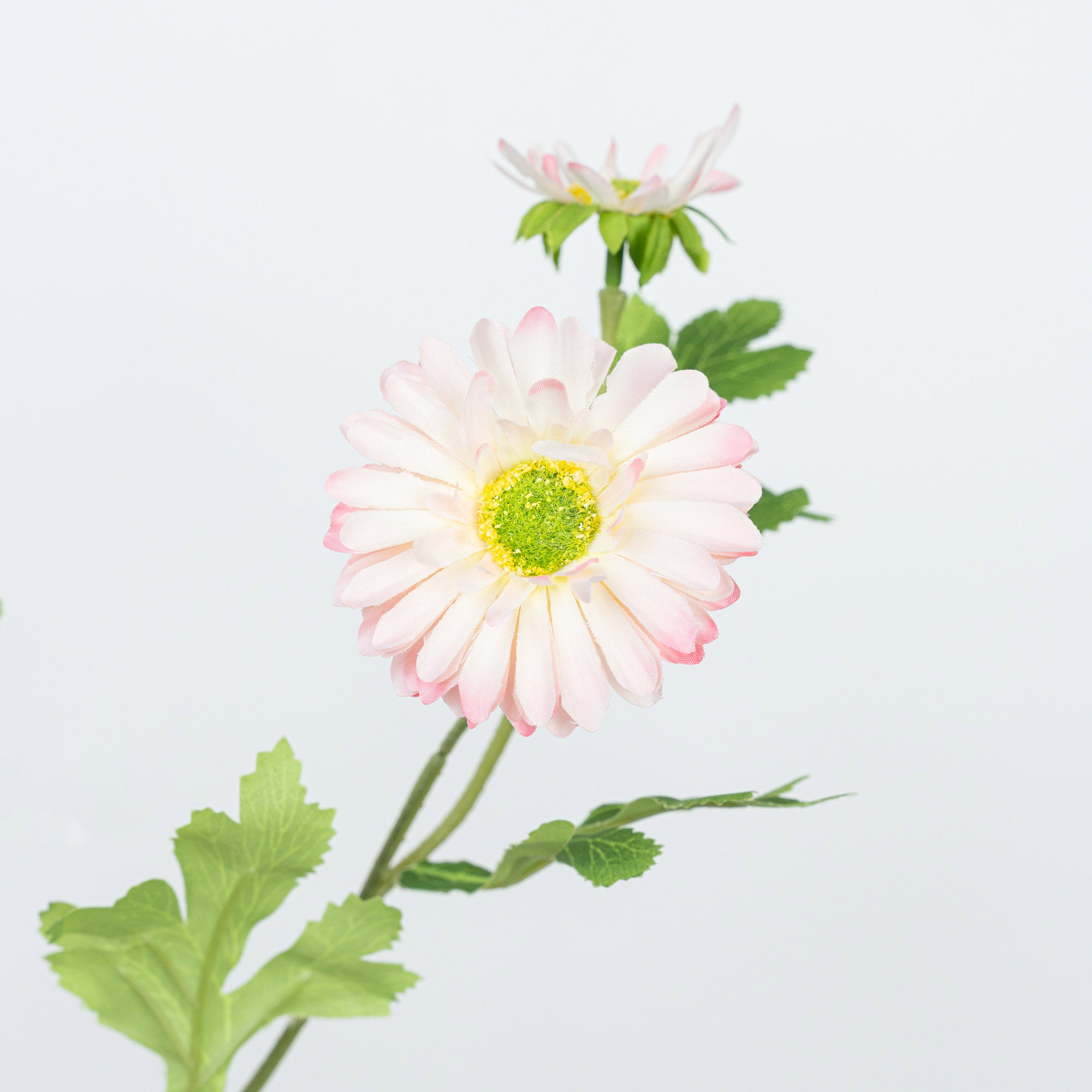 26" DAISY SPRAY