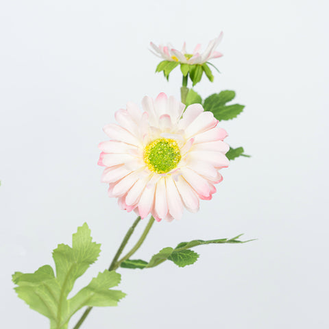 26" DAISY SPRAY