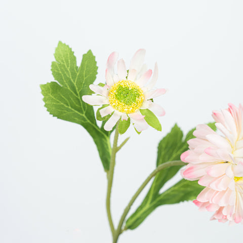 26" DAISY SPRAY