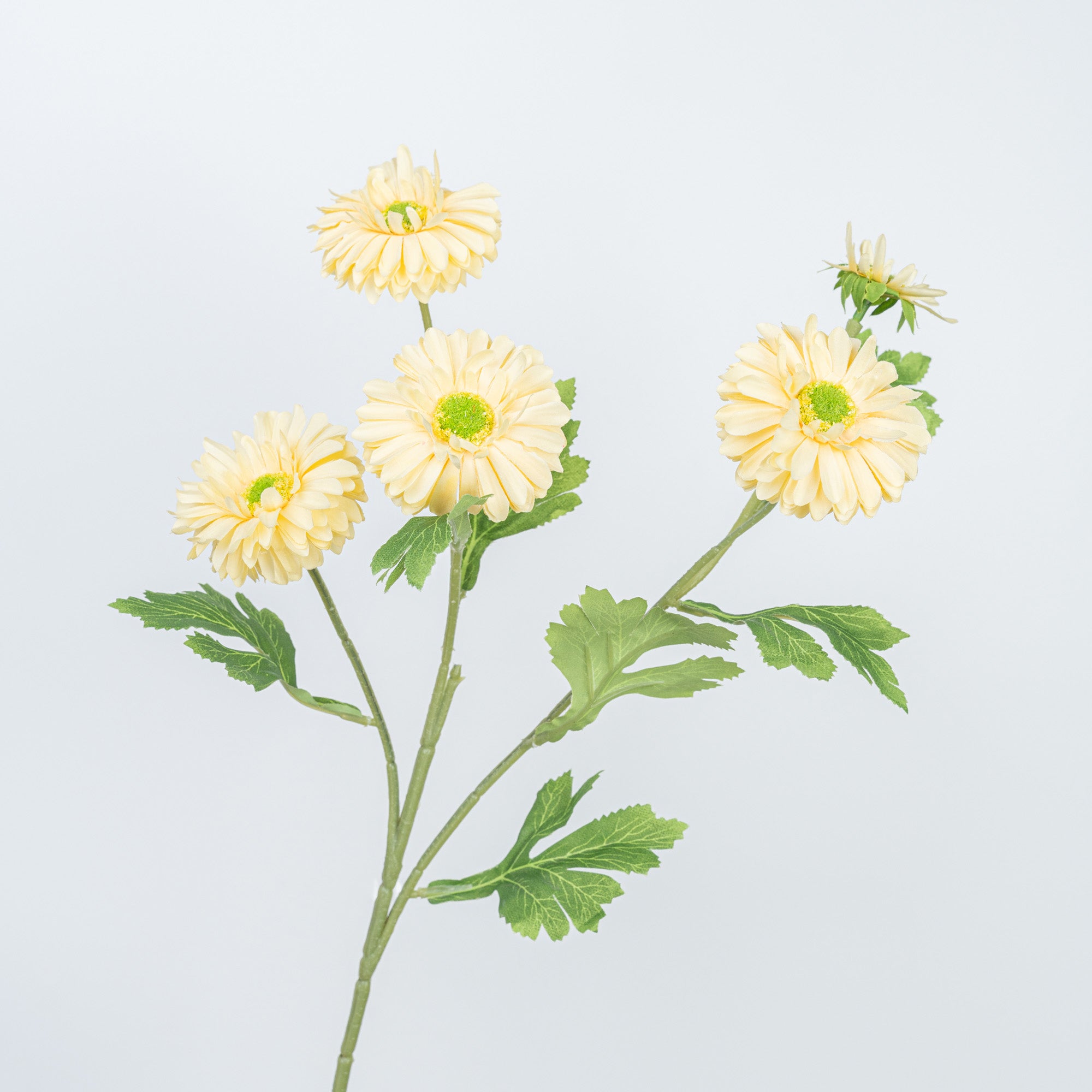 26" DAISY SPRAY