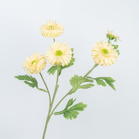 26" DAISY SPRAY
