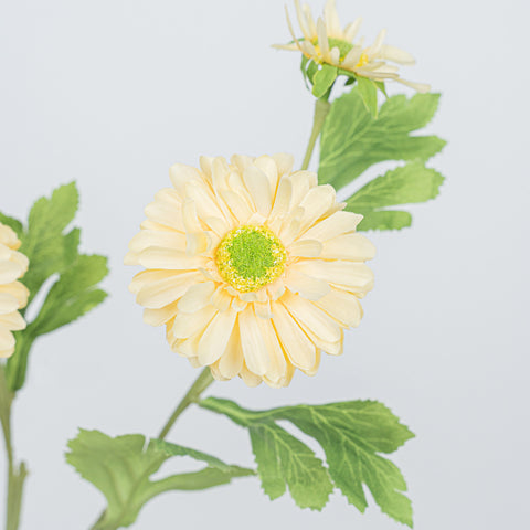 26" DAISY SPRAY