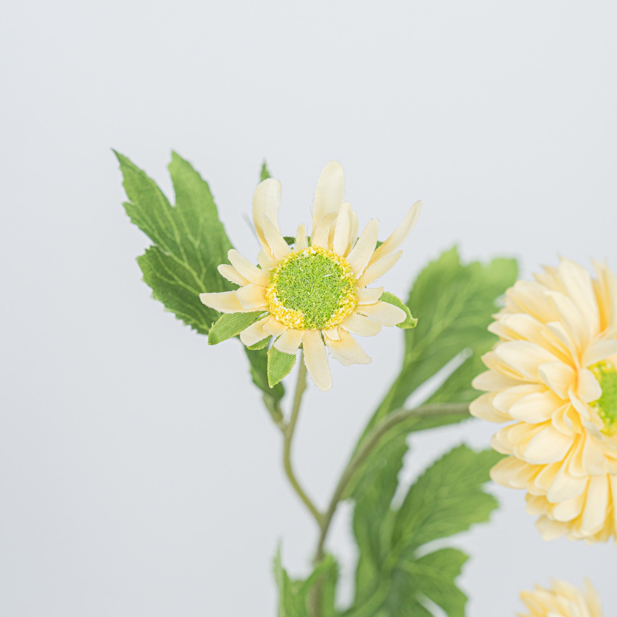 26" DAISY SPRAY