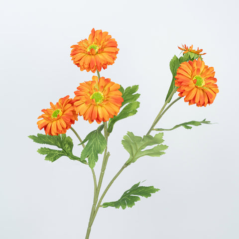 26" DAISY SPRAY